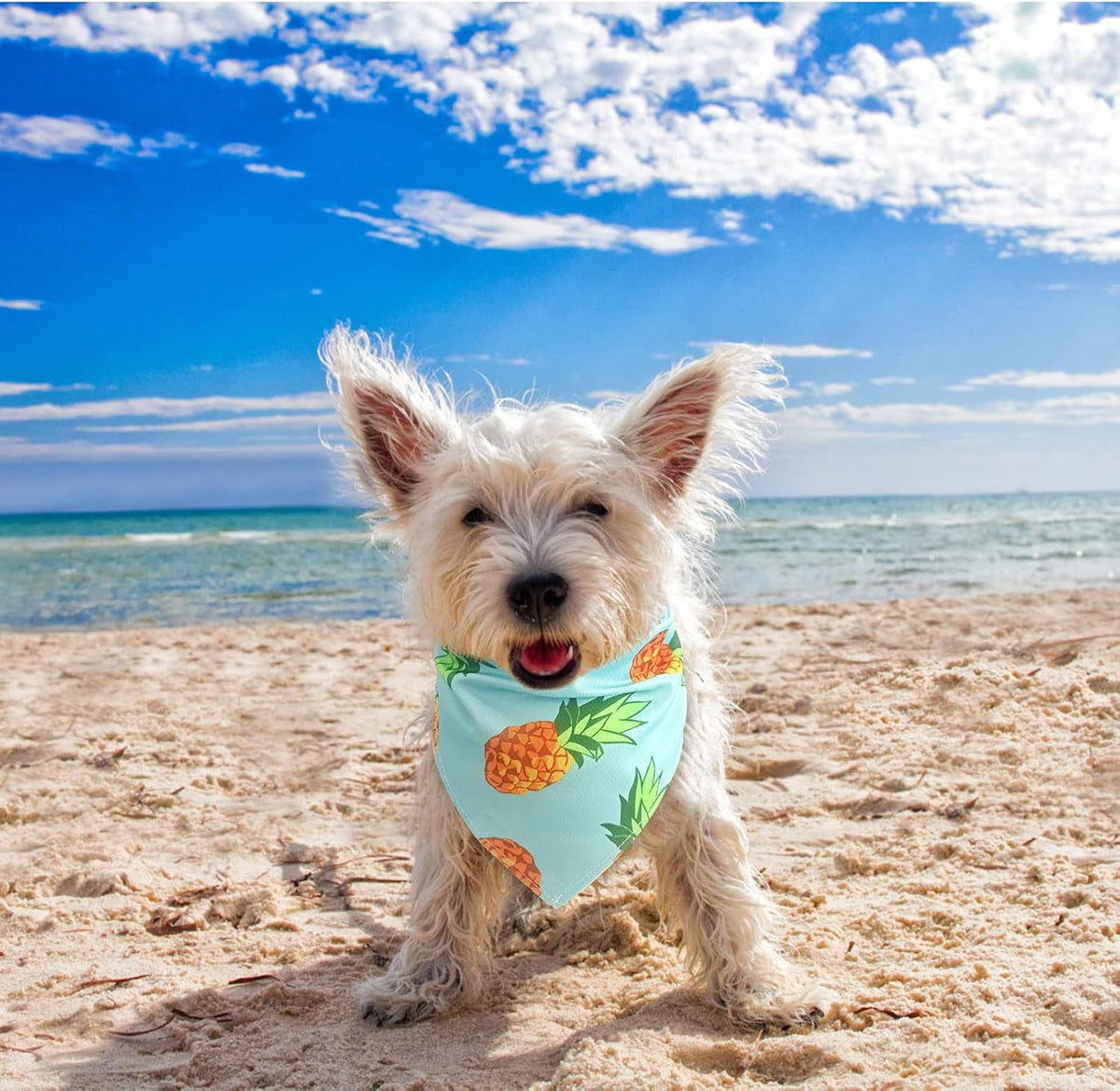 Dog Cooling Bandana - 4 Pack Hawaiian Dog Bandanas, Summer Triangle Scarfs Bibs, Chill Out Cool Pet Bandana Neck Cooler with Cute Fruits Pattern for Puppy Small Medium Large Dogs, Large