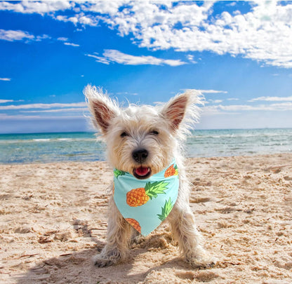 Dog Cooling Bandana - 4 Pack Hawaiian Dog Bandanas, Summer Triangle Scarfs Bibs, Chill Out Cool Pet Bandana Neck Cooler with Cute Fruits Pattern for Puppy Small Medium Large Dogs, Large