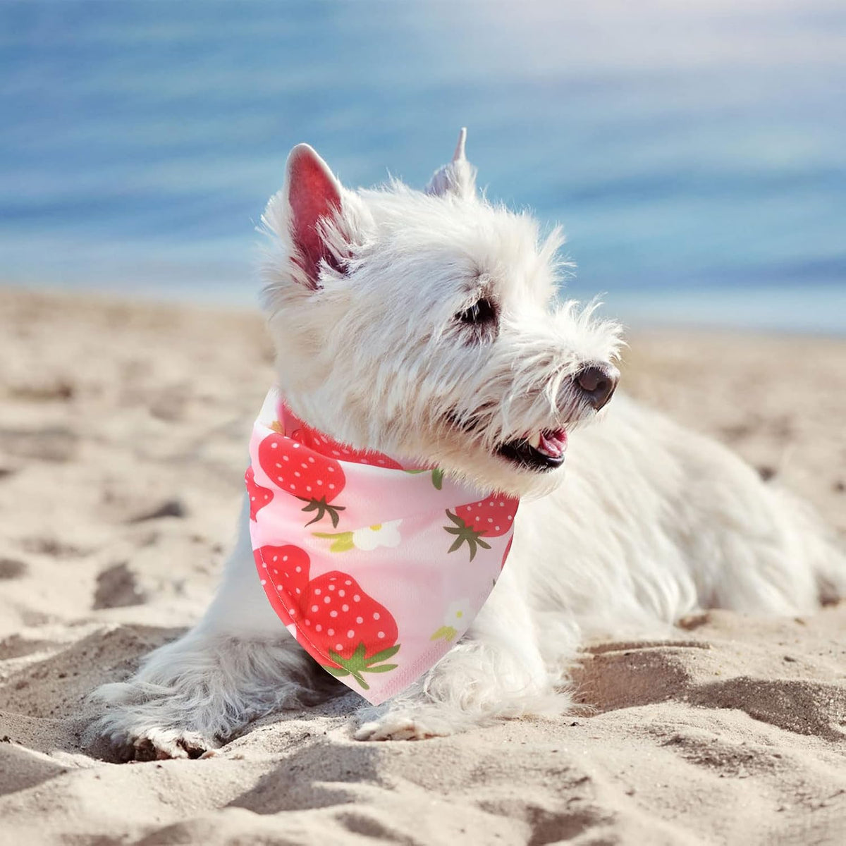 Dog Cooling Bandana - 4 Pack Hawaiian Dog Bandanas, Summer Triangle Scarfs Bibs, Chill Out Cool Pet Bandana Neck Cooler with Cute Fruits Pattern for Puppy Small Medium Large Dogs, Large